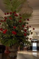 вид - фотогалерея на RCC-TRAVEL.RU вид - фотогалерея на RCC-TRAVEL.RU