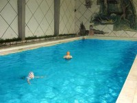 ������� - ����������� �� RCC-TRAVEL.RU