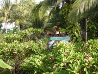 сад - фотогалерея на RCC-TRAVEL.RU сад - фотогалерея на RCC-TRAVEL.RU