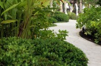 территория отеля - фотогалерея на RCC-TRAVEL.RU территория отеля - фотогалерея на RCC-TRAVEL.RU