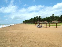  -   RCC-TRAVEL.RU