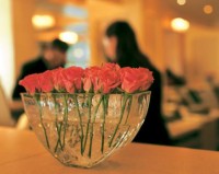 вид - фотогалерея на RCC-TRAVEL.RU вид - фотогалерея на RCC-TRAVEL.RU