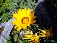 ������� - ����������� �� RCC-TRAVEL.RU