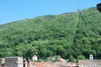 ��� - ����������� �� RCC-TRAVEL.RU