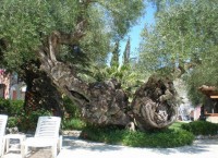 ���������� ����� - ����������� �� RCC-TRAVEL.RU