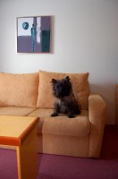  -   RCC-TRAVEL.RU