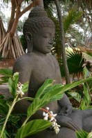 вид - фотогалерея на RCC-TRAVEL.RU вид - фотогалерея на RCC-TRAVEL.RU