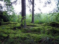 природа - фотогалерея на RCC-TRAVEL.RU природа - фотогалерея на RCC-TRAVEL.RU