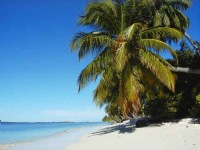 пляж - фотогалерея на RCC-TRAVEL.RU пляж - фотогалерея на RCC-TRAVEL.RU