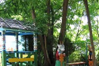  -   RCC-TRAVEL.RU