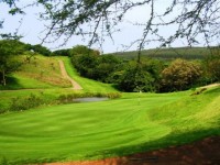 гольф - фотогалерея на RCC-TRAVEL.RU гольф - фотогалерея на RCC-TRAVEL.RU