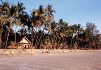 пляж - фотогалерея на RCC-TRAVEL.RU пляж - фотогалерея на RCC-TRAVEL.RU