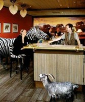 ��� - ����������� �� RCC-TRAVEL.RU