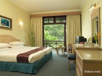  -   RCC-TRAVEL.RU