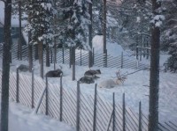 вид - фотогалерея на RCC-TRAVEL.RU вид - фотогалерея на RCC-TRAVEL.RU