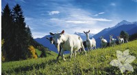 природа - фотогалерея на RCC-TRAVEL.RU природа - фотогалерея на RCC-TRAVEL.RU