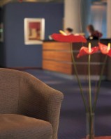 интерьер - фотогалерея на RCC-TRAVEL.RU интерьер - фотогалерея на RCC-TRAVEL.RU