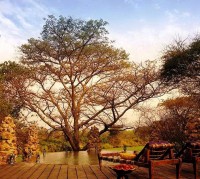 ����� ��� - ����������� �� RCC-TRAVEL.RU