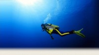 дайвинг - фотогалерея на RCC-TRAVEL.RU дайвинг - фотогалерея на RCC-TRAVEL.RU