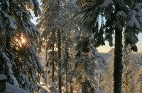 природа - фотогалерея на RCC-TRAVEL.RU природа - фотогалерея на RCC-TRAVEL.RU