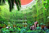 лобби - фотогалерея на RCC-TRAVEL.RU лобби - фотогалерея на RCC-TRAVEL.RU