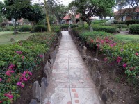  -   RCC-TRAVEL.RU