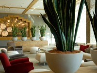 холл - фотогалерея на RCC-TRAVEL.RU холл - фотогалерея на RCC-TRAVEL.RU