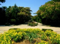 Территория - фотогалерея на RCC-TRAVEL.RU Территория - фотогалерея на RCC-TRAVEL.RU