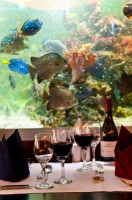 ресторан - фотогалерея на RCC-TRAVEL.RU ресторан - фотогалерея на RCC-TRAVEL.RU