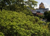 ��� - ����������� �� RCC-TRAVEL.RU