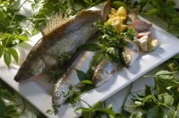 �������� - ����������� �� RCC-TRAVEL.RU