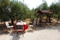 зона отдыха - фотогалерея на RCC-TRAVEL.RU зона отдыха - фотогалерея на RCC-TRAVEL.RU