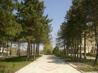 ���������� - ����������� �� RCC-TRAVEL.RU