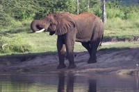 ������� ����� - ����������� �� RCC-TRAVEL.RU