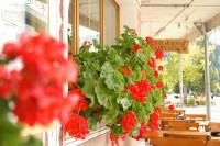 кафе - фотогалерея на RCC-TRAVEL.RU кафе - фотогалерея на RCC-TRAVEL.RU