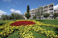 клумба - фотогалерея на RCC-TRAVEL.RU клумба - фотогалерея на RCC-TRAVEL.RU
