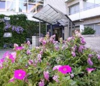 вид - фотогалерея на RCC-TRAVEL.RU вид - фотогалерея на RCC-TRAVEL.RU