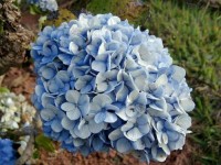 вид - фотогалерея на RCC-TRAVEL.RU вид - фотогалерея на RCC-TRAVEL.RU