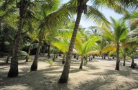 ���� - ����������� �� RCC-TRAVEL.RU