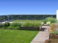 сад - фотогалерея на RCC-TRAVEL.RU сад - фотогалерея на RCC-TRAVEL.RU