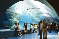 Отдых и развлечения - фотогалерея на RCC-TRAVEL.RU Отдых и развлечения - фотогалерея на RCC-TRAVEL.RU