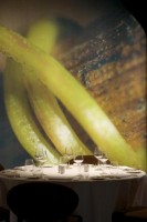 �������� - ����������� �� RCC-TRAVEL.RU