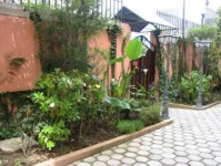 сад - фотогалерея на RCC-TRAVEL.RU сад - фотогалерея на RCC-TRAVEL.RU