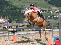 конный спорт - фотогалерея на RCC-TRAVEL.RU конный спорт - фотогалерея на RCC-TRAVEL.RU