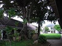 вид - фотогалерея на RCC-TRAVEL.RU вид - фотогалерея на RCC-TRAVEL.RU