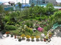 территория - фотогалерея на RCC-TRAVEL.RU территория - фотогалерея на RCC-TRAVEL.RU