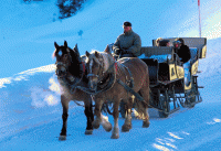 развлечения - фотогалерея на RCC-TRAVEL.RU развлечения - фотогалерея на RCC-TRAVEL.RU