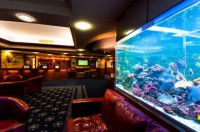 интерьер - фотогалерея на RCC-TRAVEL.RU интерьер - фотогалерея на RCC-TRAVEL.RU