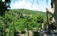  -   RCC-TRAVEL.RU