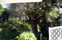 вид - фотогалерея на RCC-TRAVEL.RU вид - фотогалерея на RCC-TRAVEL.RU